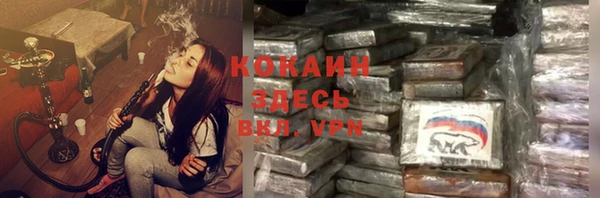 гидра Абаза