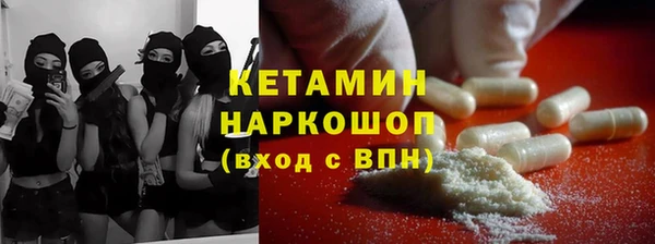 гидра Абаза