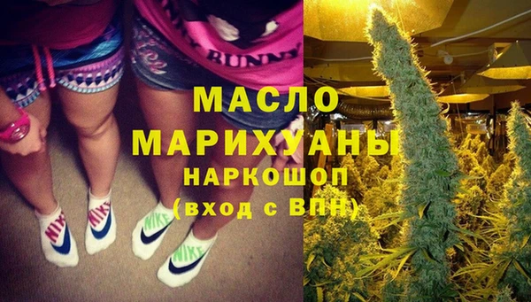 гидра Абаза