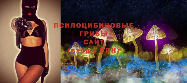 гидра Абаза
