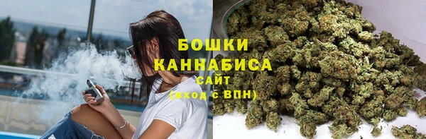 гидра Абаза