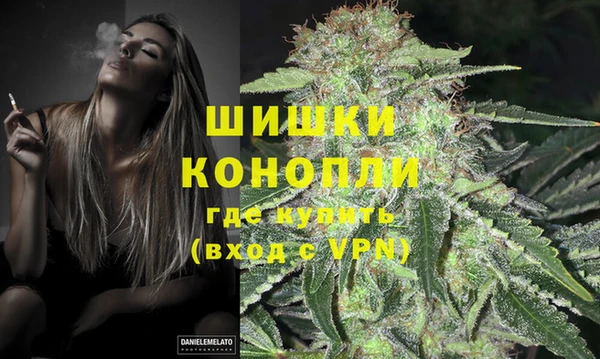 гидра Абаза