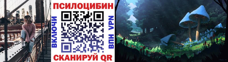 hydra как зайти  Тында  Галлюциногенные грибы Cubensis  где найти наркотики 