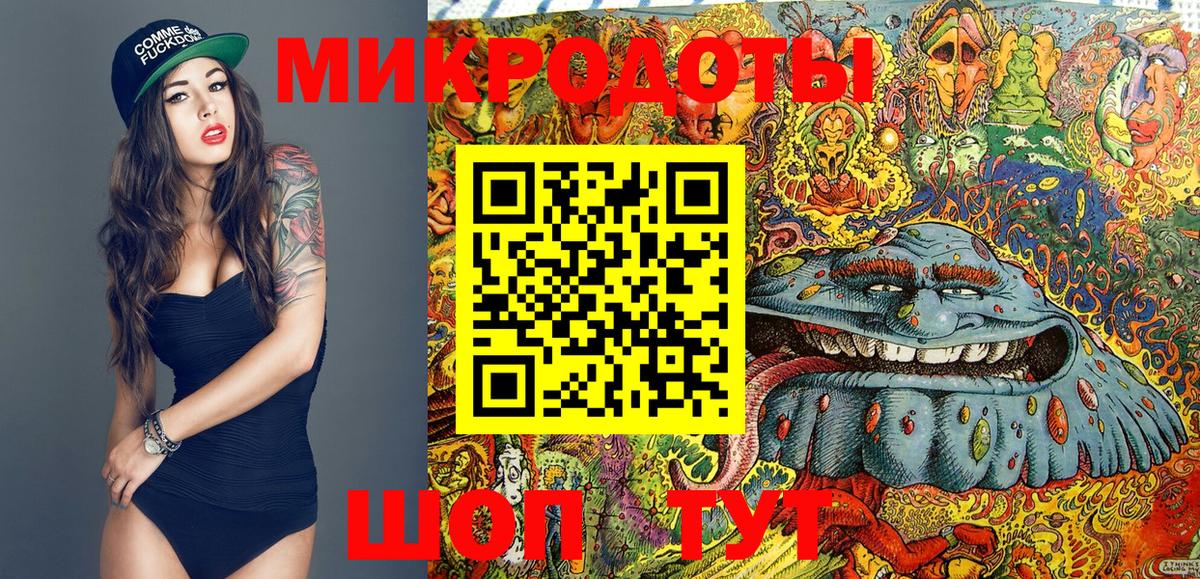 Тында  Псилоцибиновые грибы Psilocybine cubensis  Псилоцибиновые грибы Psilocybe  Вход с VPN 