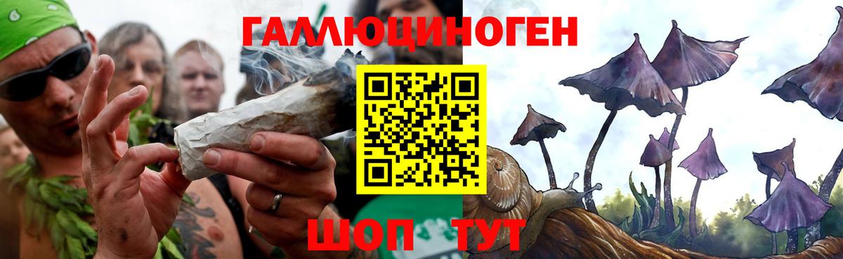 Галлюциногенные грибы мухоморы Тында